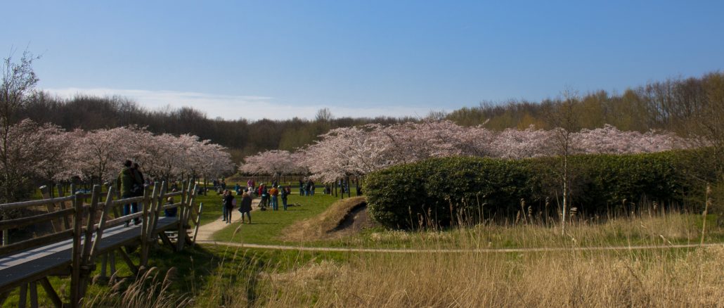 Amsterdamse Bos