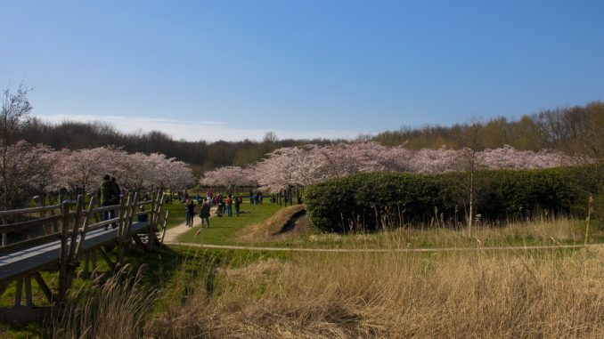 Amsterdamse Bos