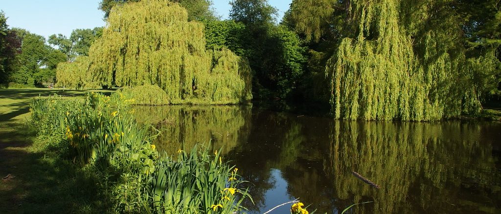 natuur in Amsterdam