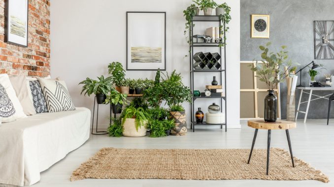 Painting in bright living room